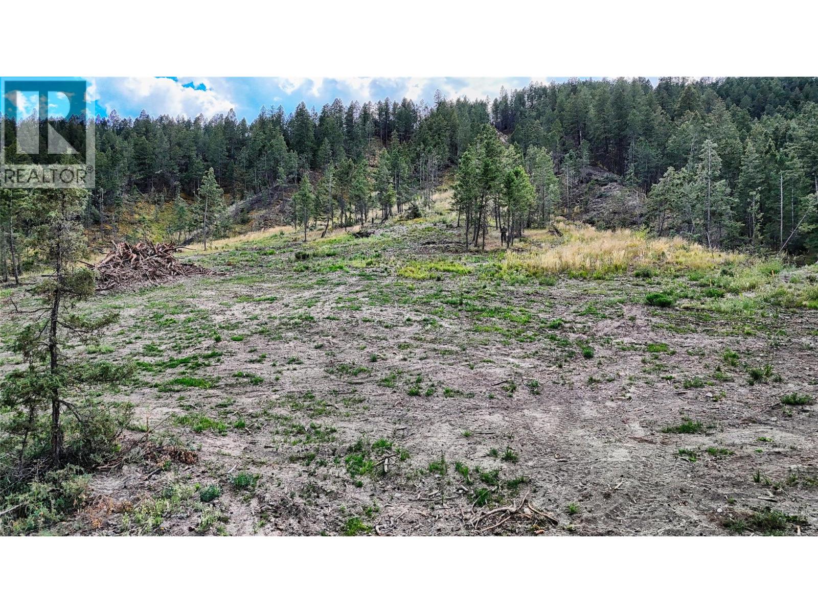 5571 93/95 Highway, Fairmont Hot Springs, British Columbia  V0B 1L2 - Photo 11 - 10393677