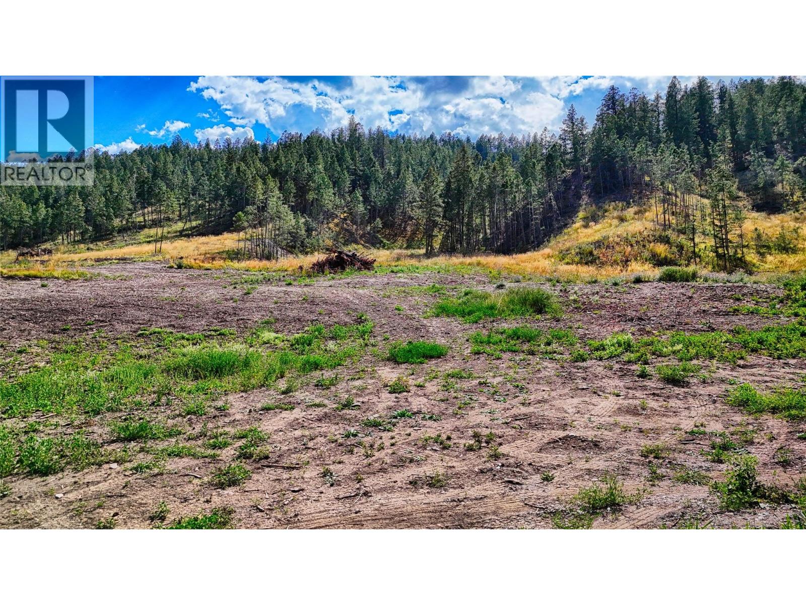 5571 93/95 Highway, Fairmont Hot Springs, British Columbia  V0B 1L2 - Photo 4 - 10393677