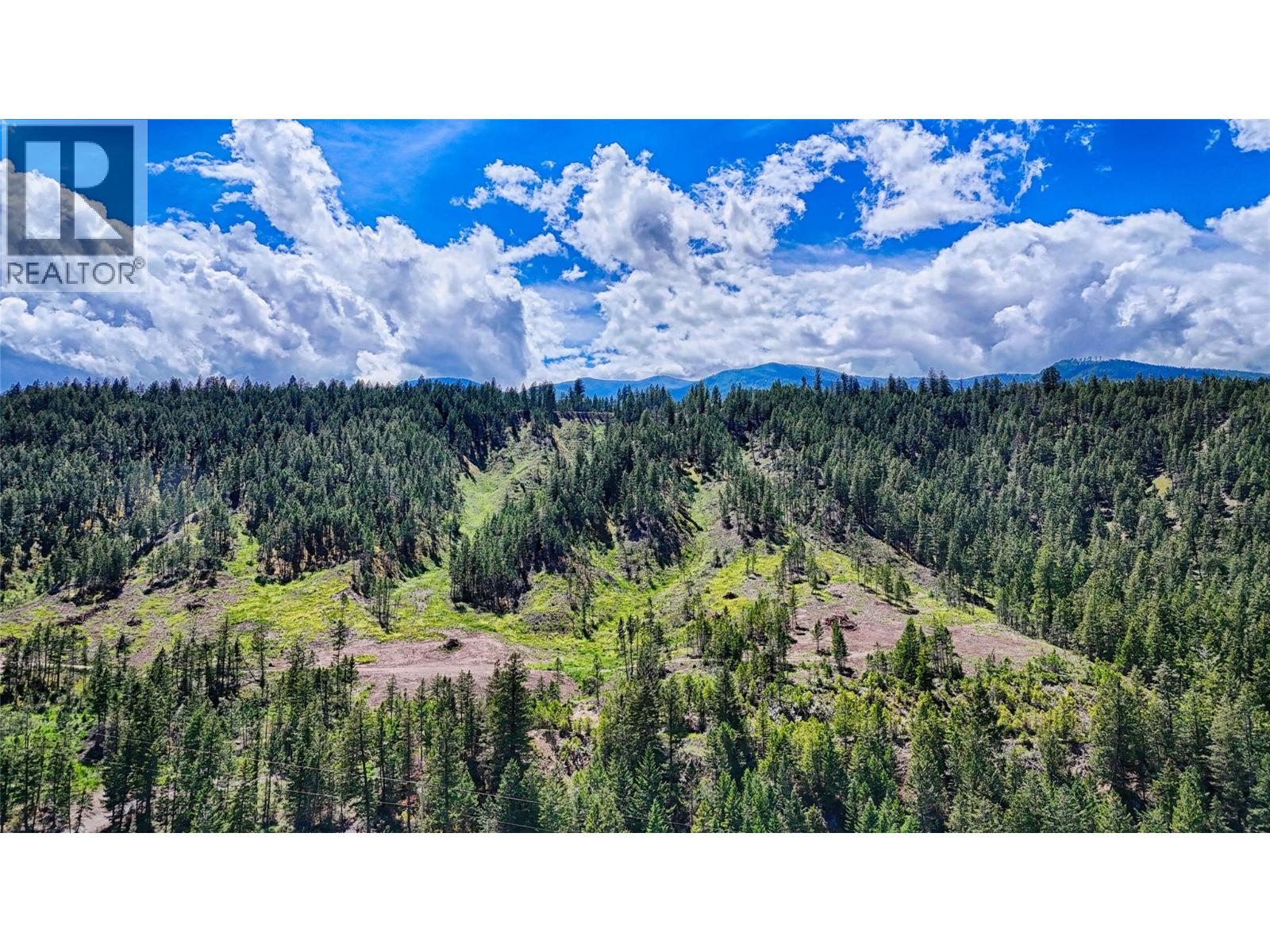 5571 93/95 Highway, Fairmont Hot Springs, British Columbia  V0B 1L2 - Photo 3 - 10393677