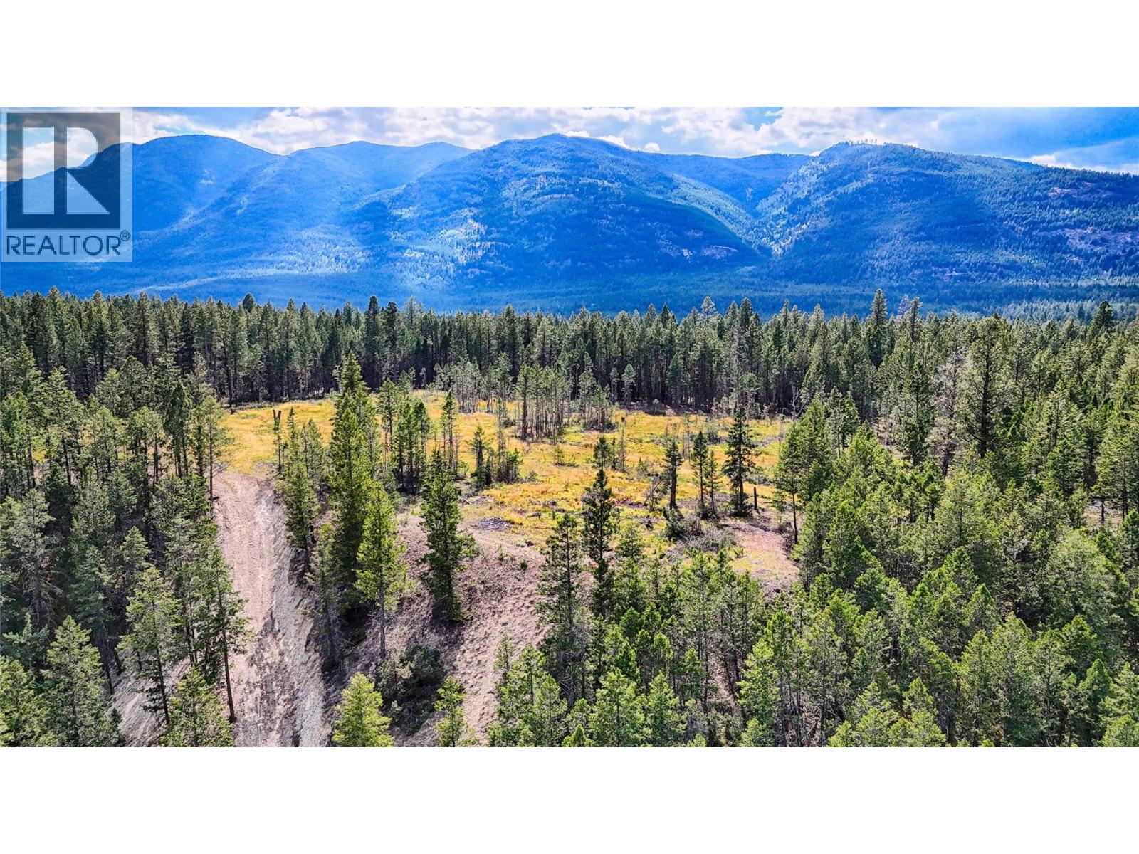 5571 93/95 Highway, Fairmont Hot Springs, British Columbia  V0B 1L2 - Photo 12 - 10393677