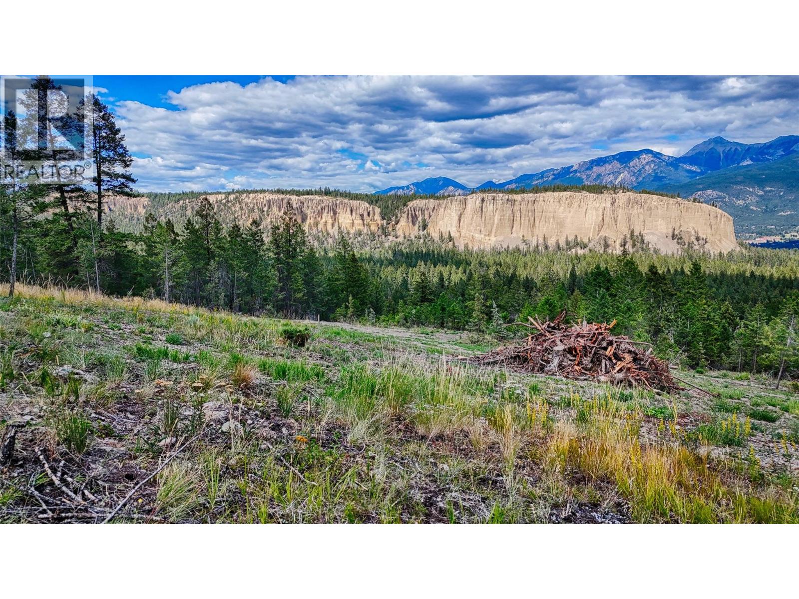 5571 93/95 Highway, Fairmont Hot Springs, British Columbia  V0B 1L2 - Photo 7 - 10393677