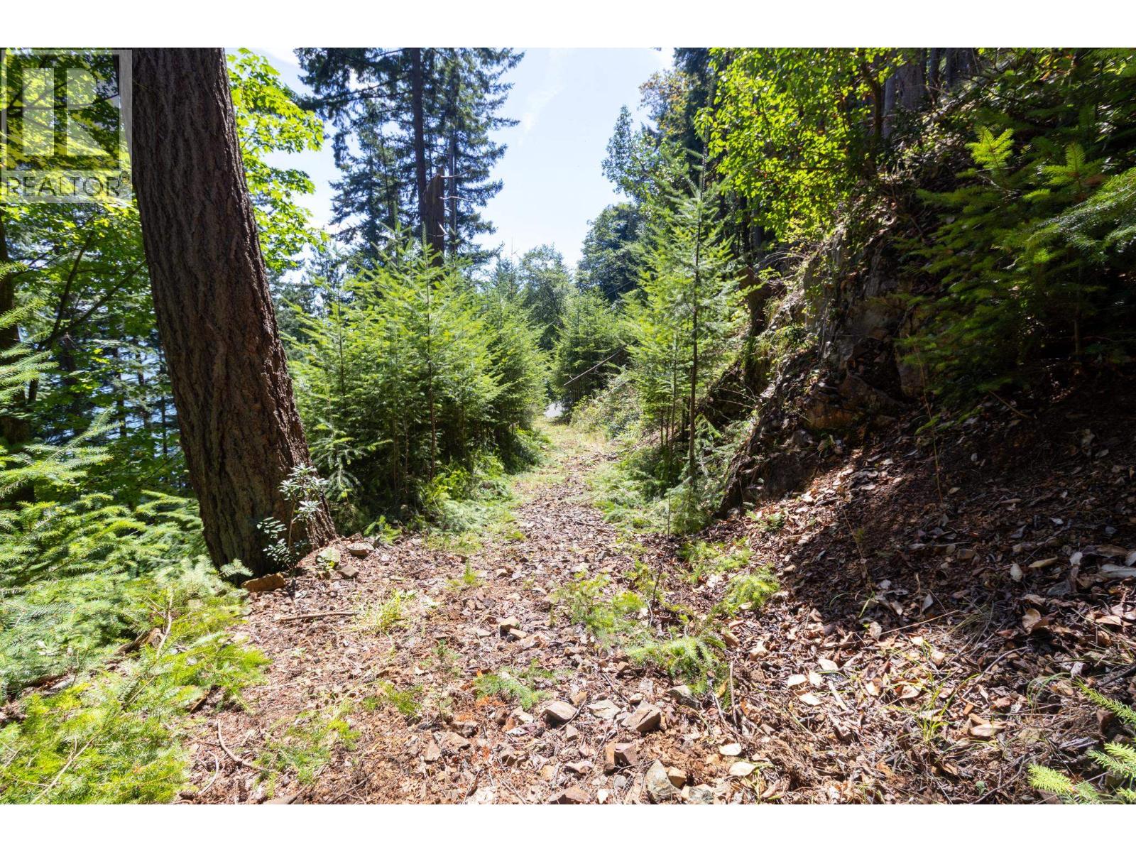 750 Taylor Road, Bowen Island, British Columbia  V0N 1G1 - Photo 13 - R3153141