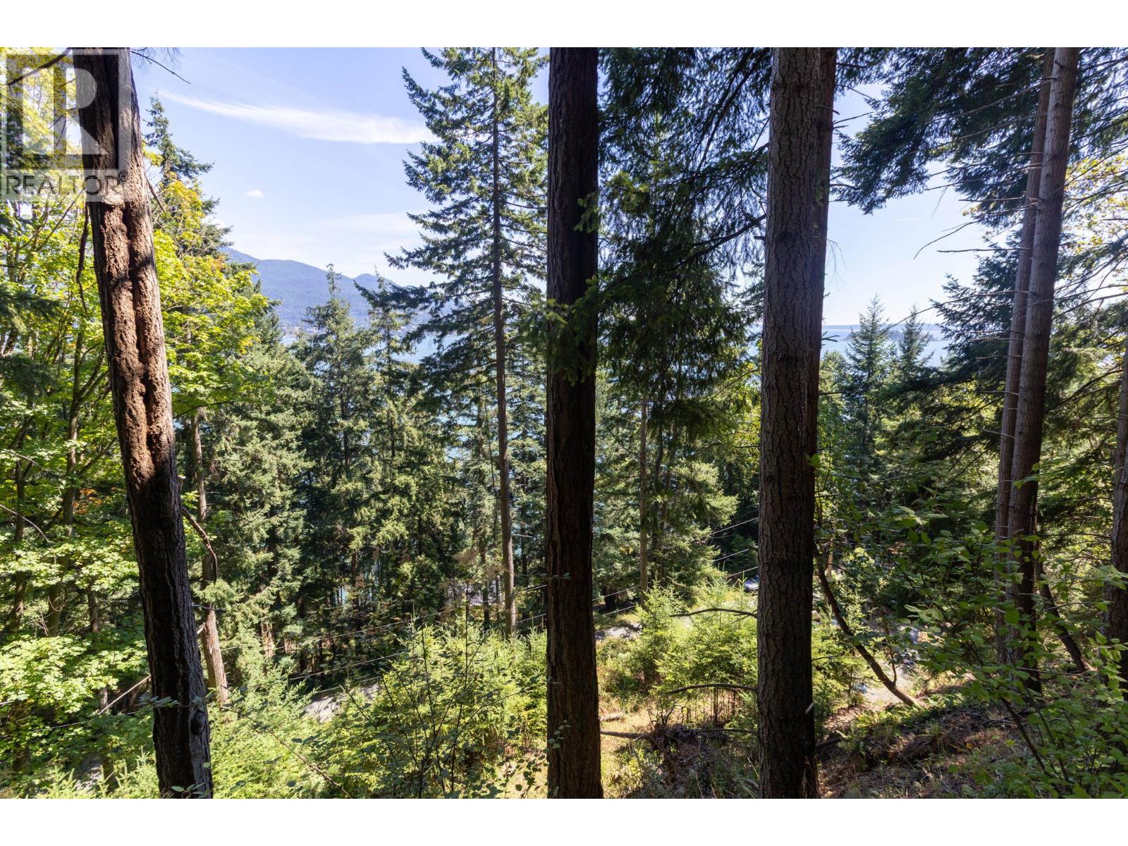 750 Taylor Road, Bowen Island, British Columbia  V0N 1G1 - Photo 16 - R3153141