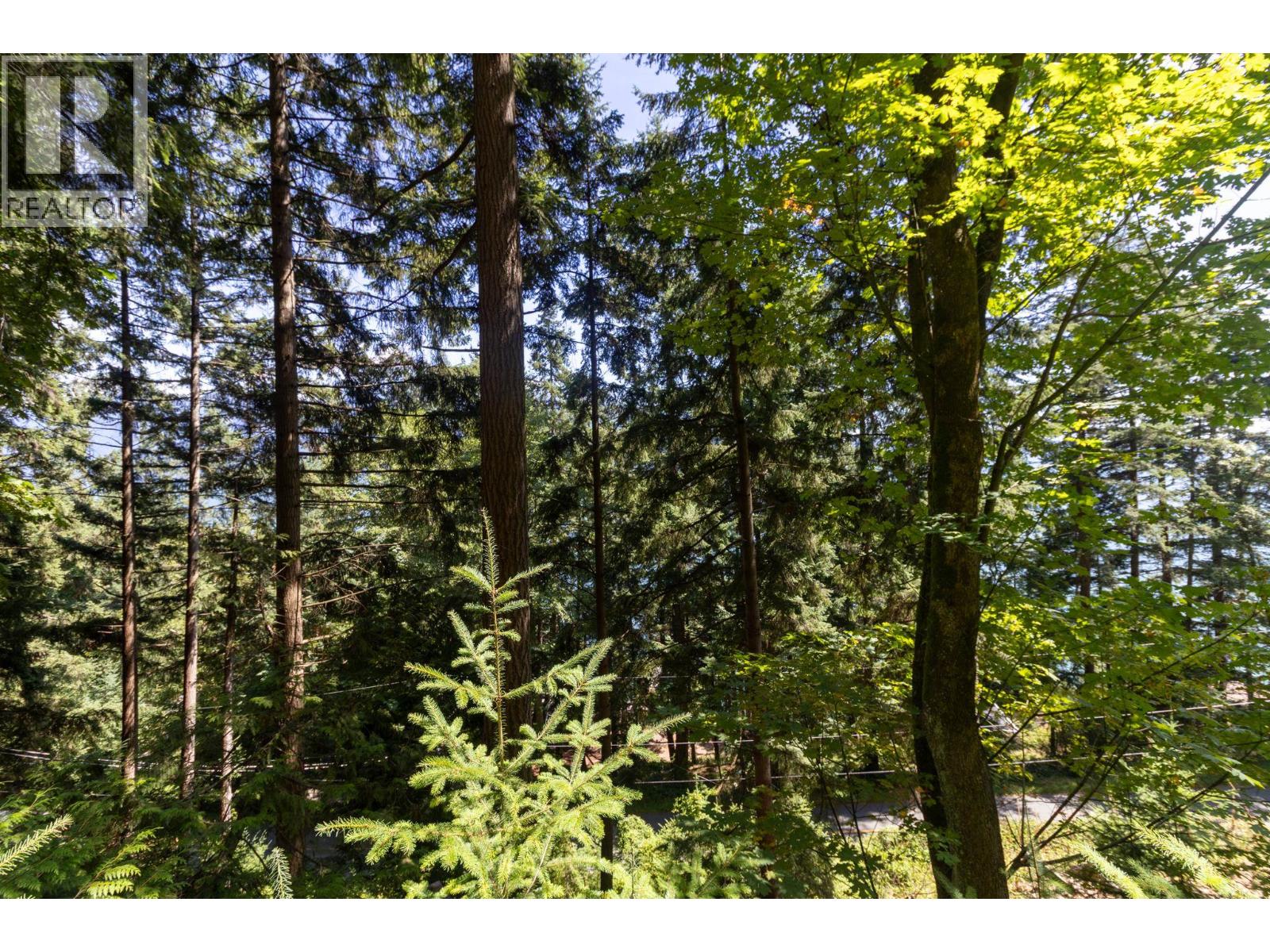 750 Taylor Road, Bowen Island, British Columbia  V0N 1G1 - Photo 14 - R3153141