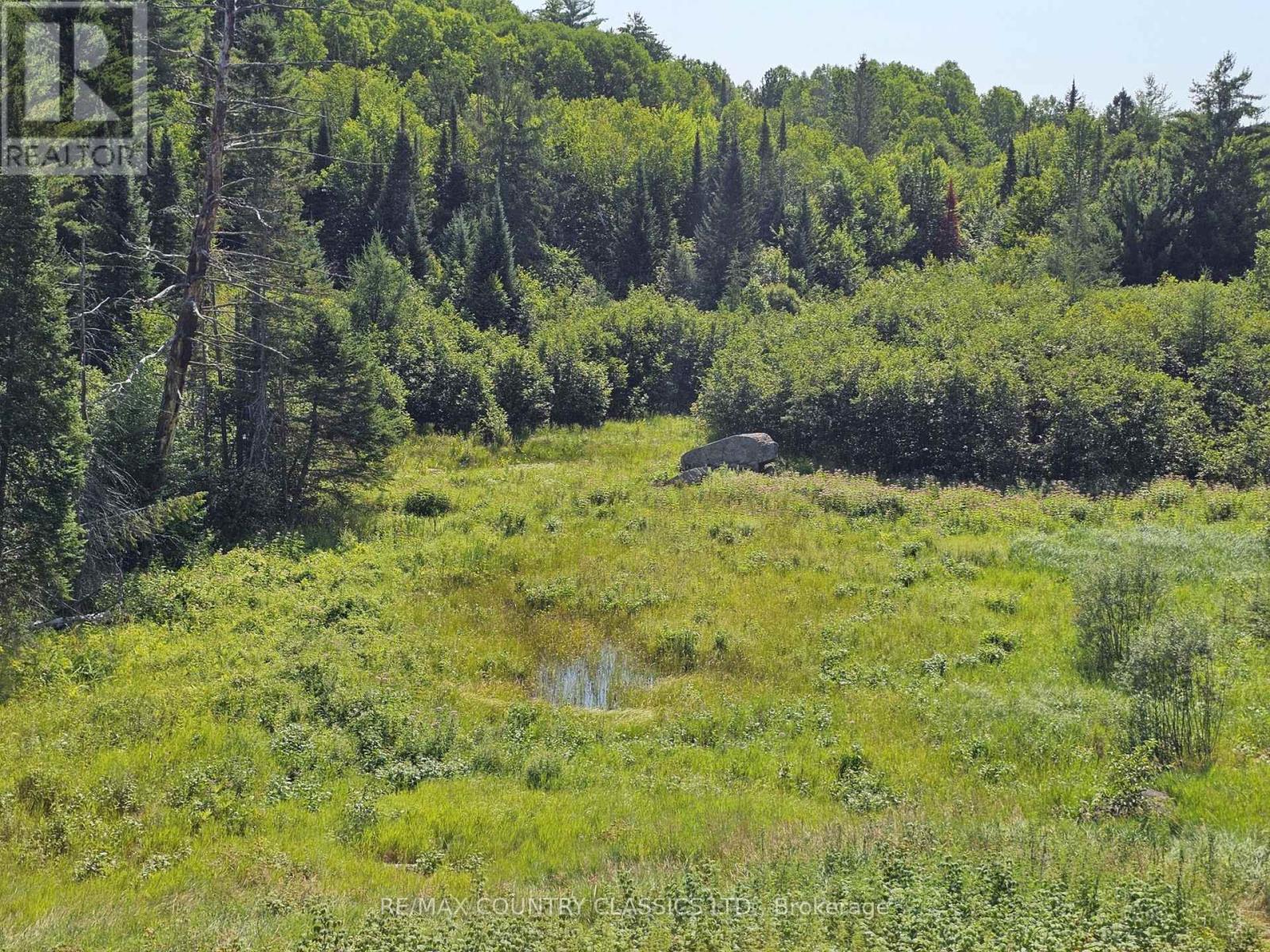 888 Wilno South Road S, Madawaska Valley, Ontario  K0J 2N0 - Photo 31 - X13642812