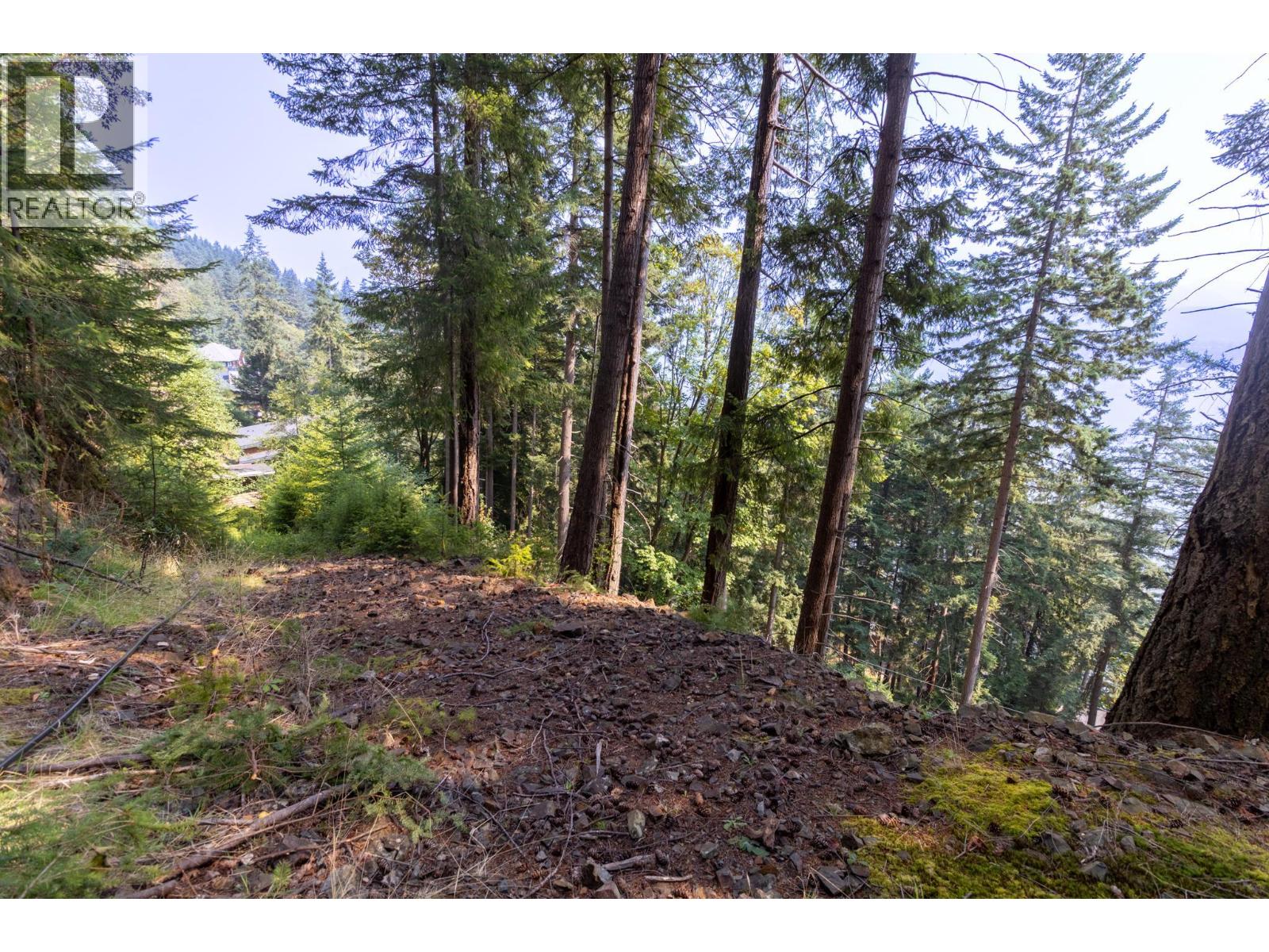 750 Taylor Road, Bowen Island, British Columbia  V0N 1G1 - Photo 17 - R3153141