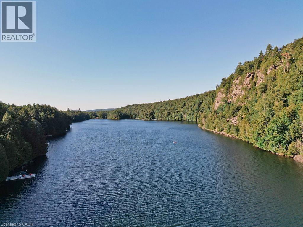 1123 Blue Lake Road, Lake Of Bays, Ontario  P1H 2J6 - Photo 3 - 40853513