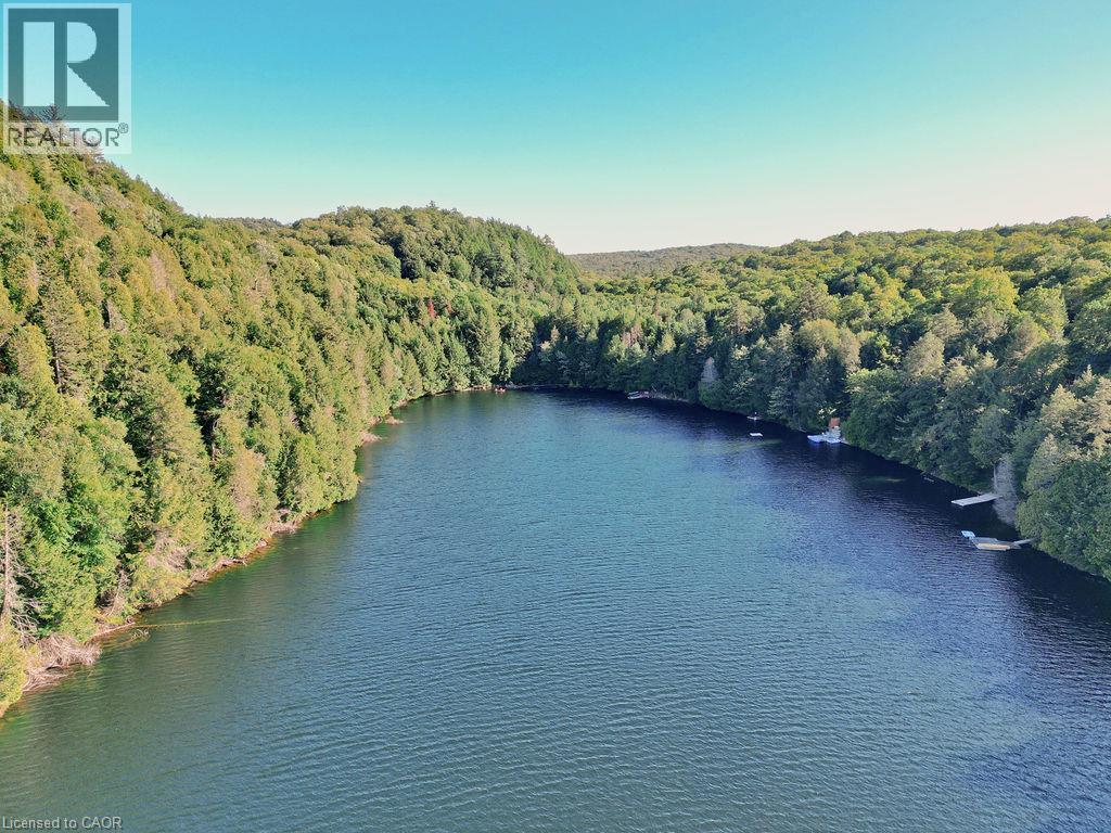 1123 Blue Lake Road, Lake Of Bays, Ontario  P1H 2J6 - Photo 4 - 40853513