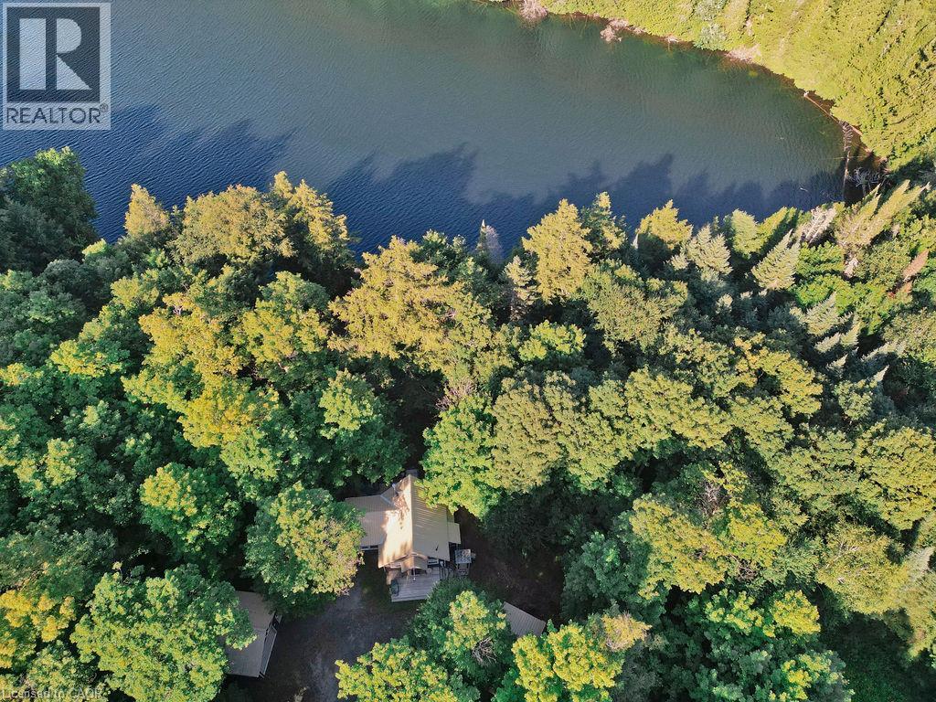 1123 Blue Lake Road, Lake Of Bays, Ontario  P1H 2J6 - Photo 41 - 40853513
