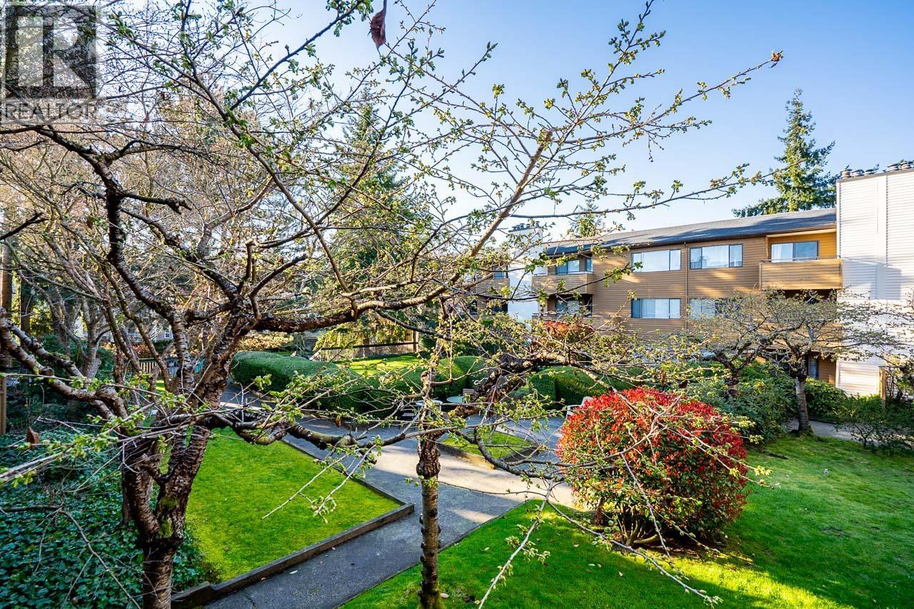 254 7293 MOFFATT ROAD, Richmond, British Columbia