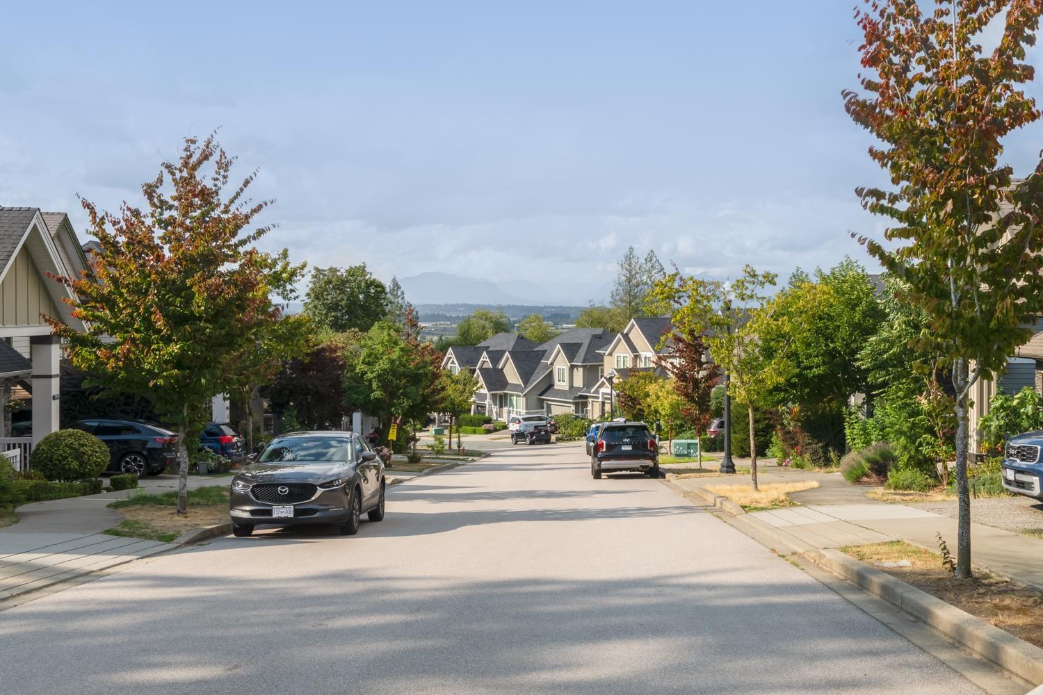 16148 28a Avenue, Surrey, British Columbia  V3Z 3Y6 - Photo 29 - R3153101