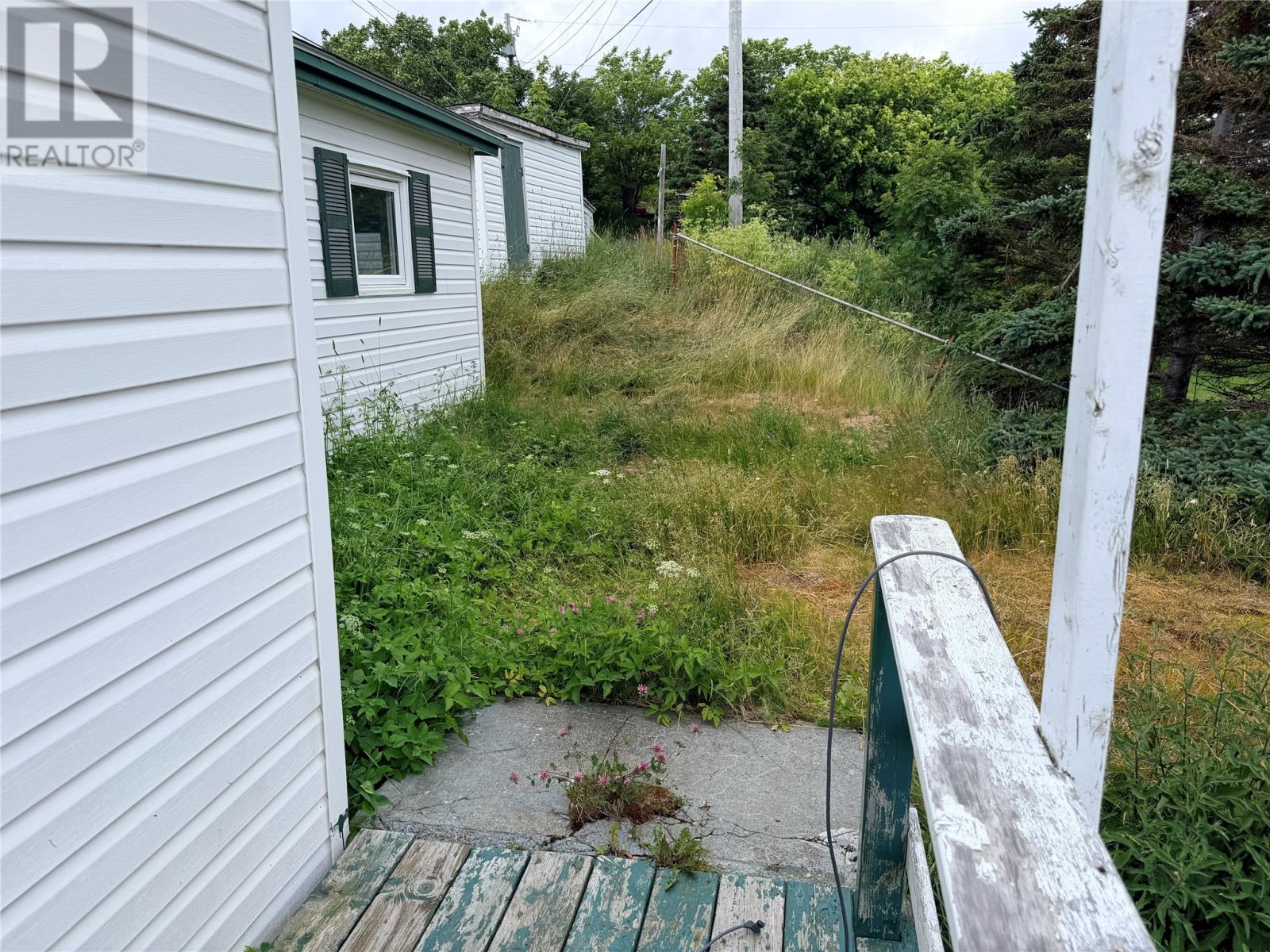 Photo 20