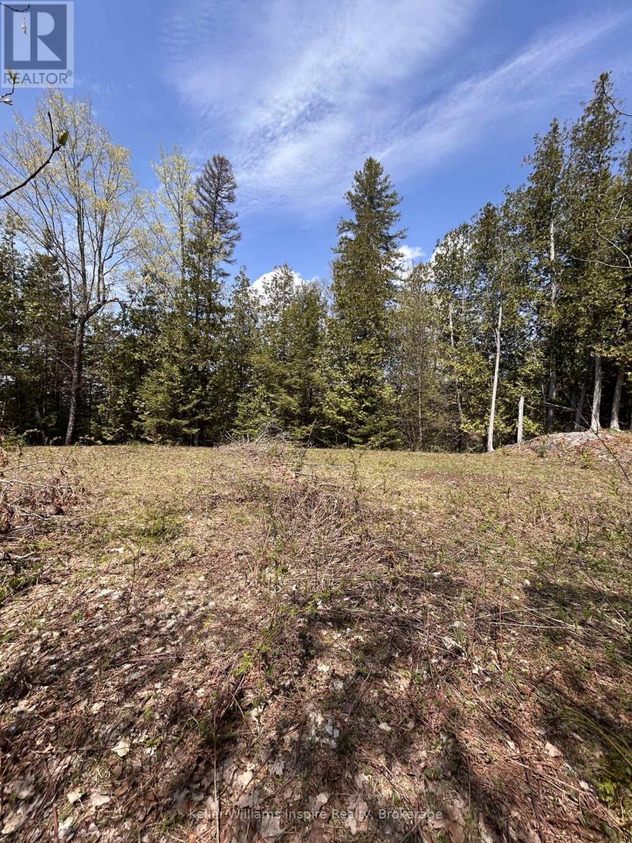 0 Highway 118, Faraday, Ontario  K0L 1C0 - Photo 12 - X13153456