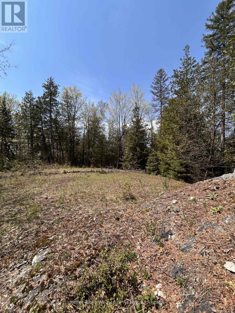 0 Highway 118, Faraday, Ontario  K0L 1C0 - Photo 11 - X13153456