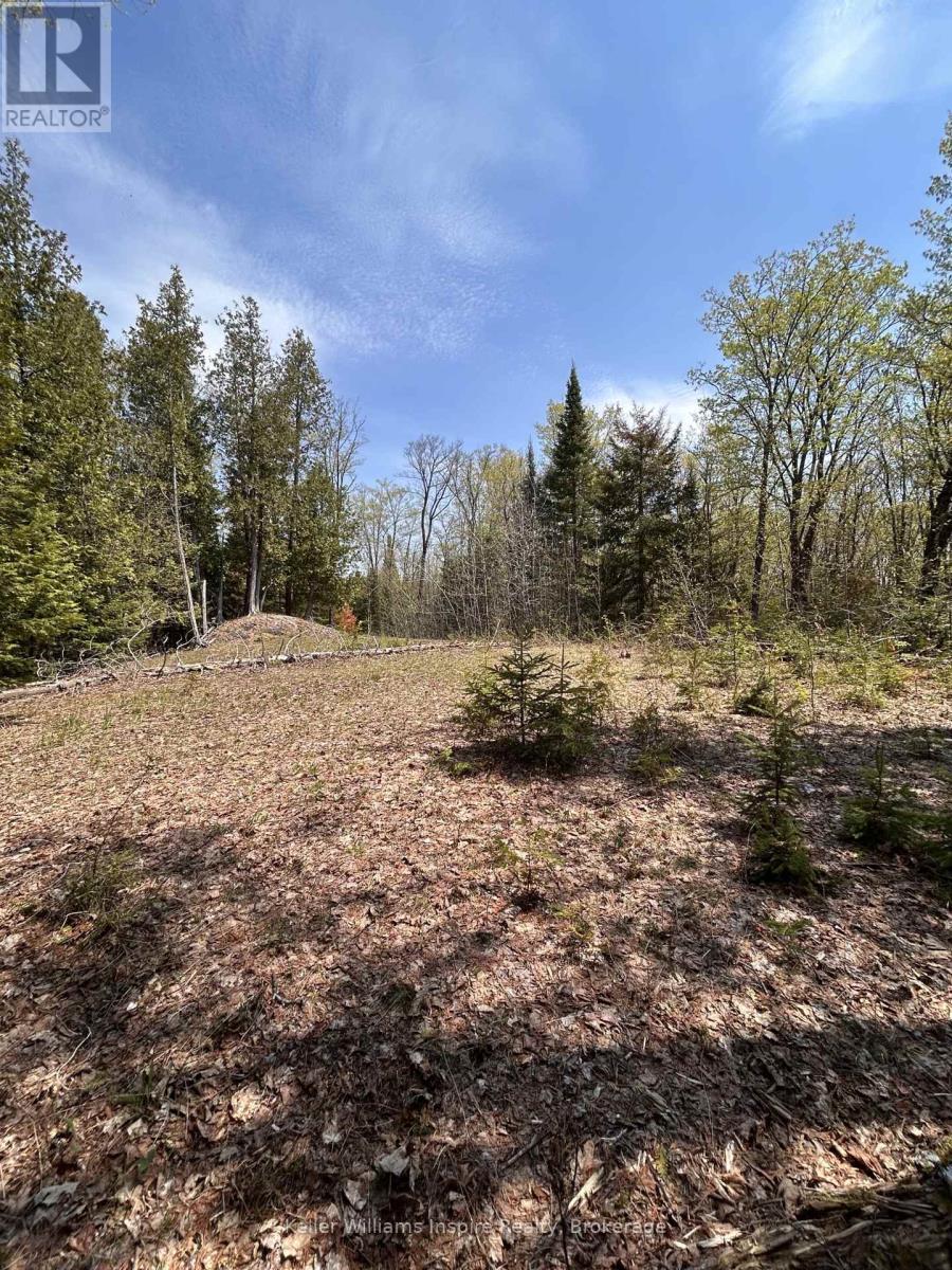 0 Highway 118, Faraday, Ontario  K0L 1C0 - Photo 14 - X13153456
