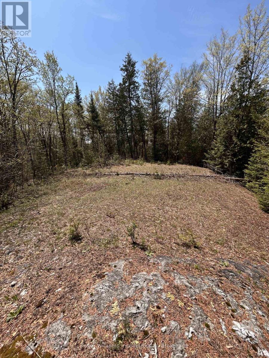 0 Highway 118, Faraday, Ontario  K0L 1C0 - Photo 2 - X13153456