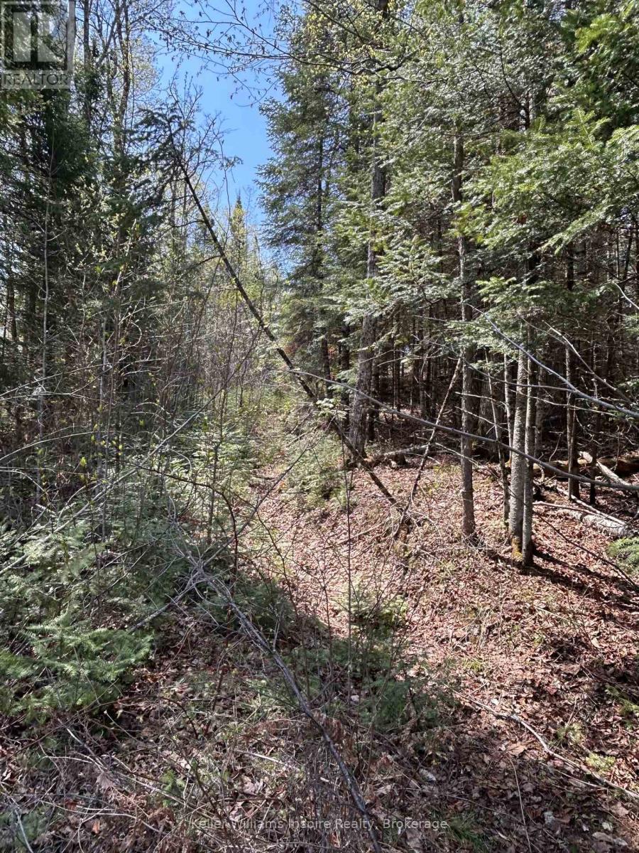 0 Highway 118, Faraday, Ontario  K0L 1C0 - Photo 3 - X13153456