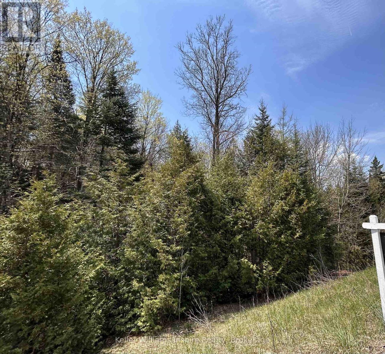 0 Highway 118, Faraday, Ontario  K0L 1C0 - Photo 19 - X13153456