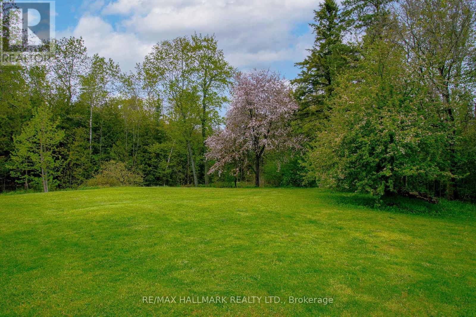 175 Concession 2 Road, Brock, Ontario  L0C 1H0 - Photo 40 - N13643152