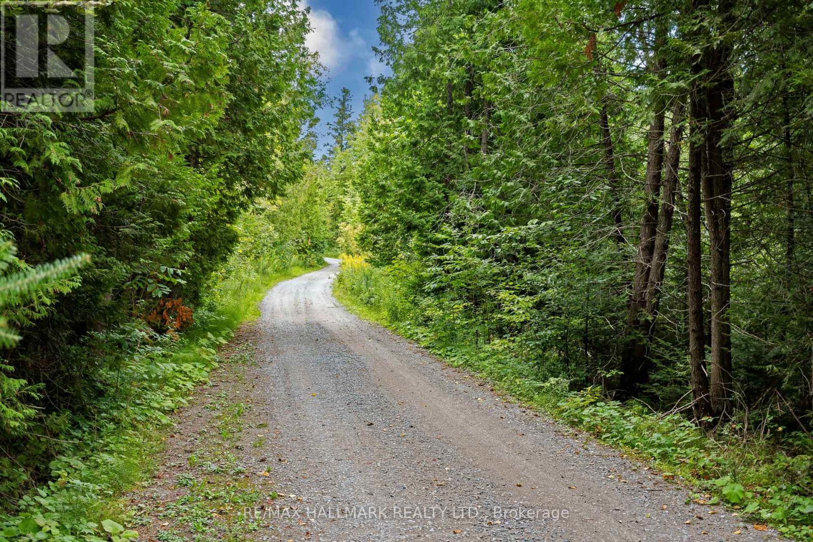 175 Concession 2 Road, Brock, Ontario  L0C 1H0 - Photo 45 - N13643152