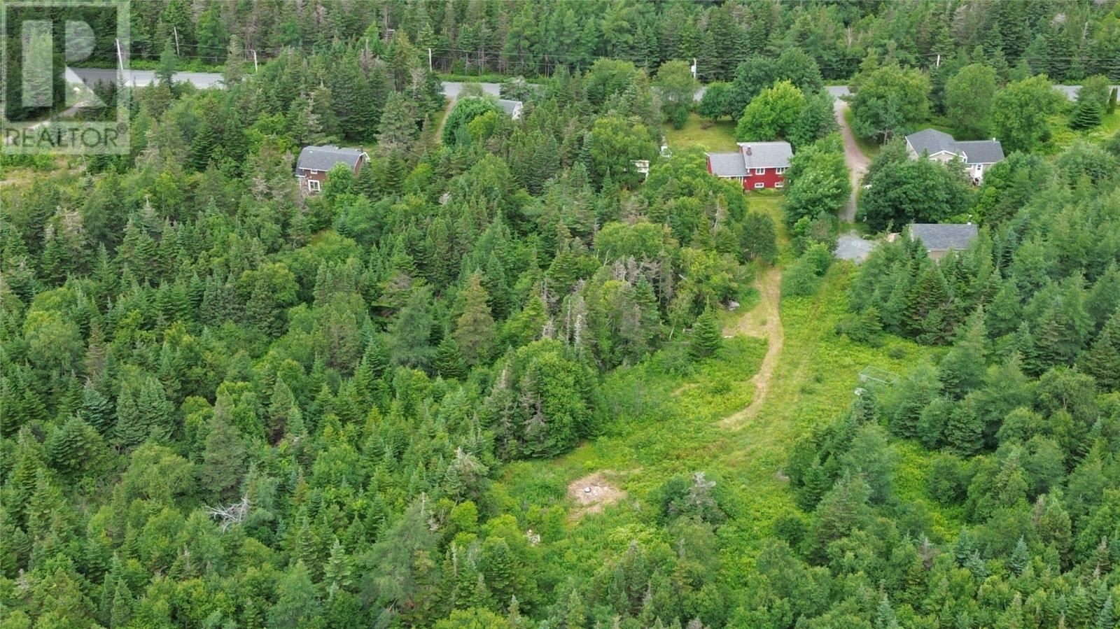 Photo 41