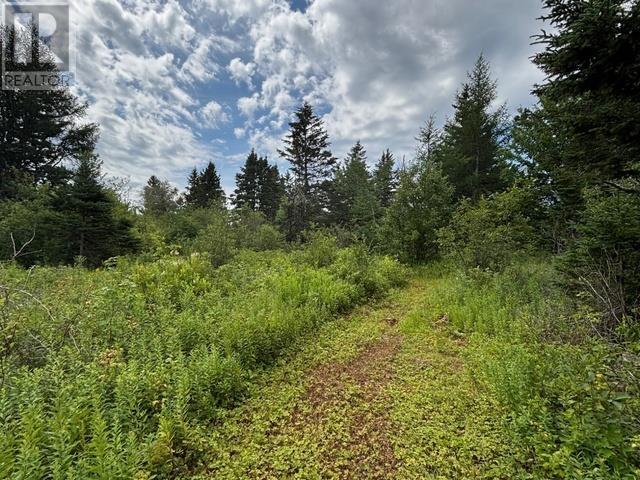 Acreage Mont Carmel Road, Mont Carmel, Prince Edward Island  C0B 2E0 - Photo 3 - 202619705