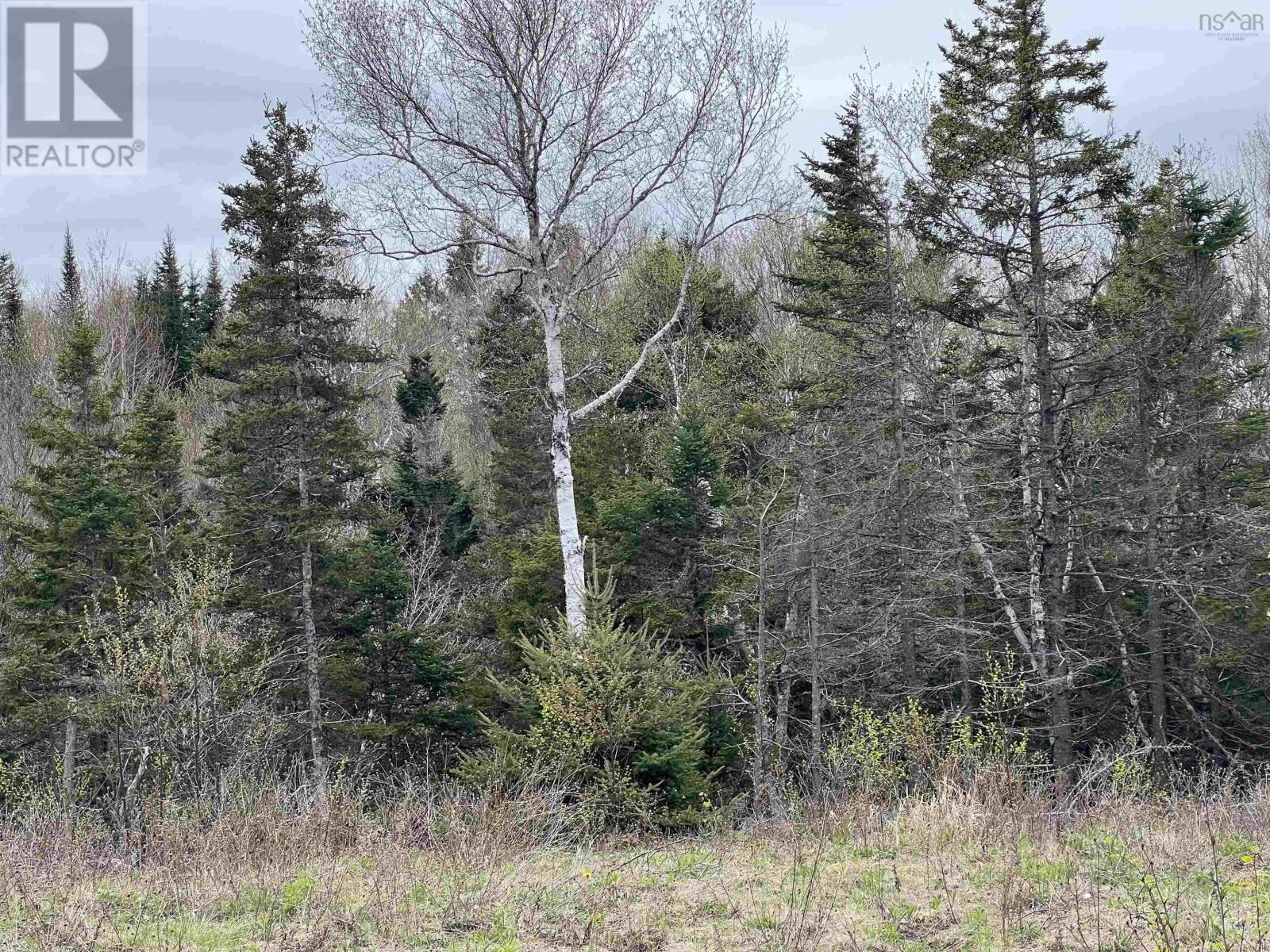 Lot RJG-1 Long Beach Road, West Glenmont, Nova Scotia