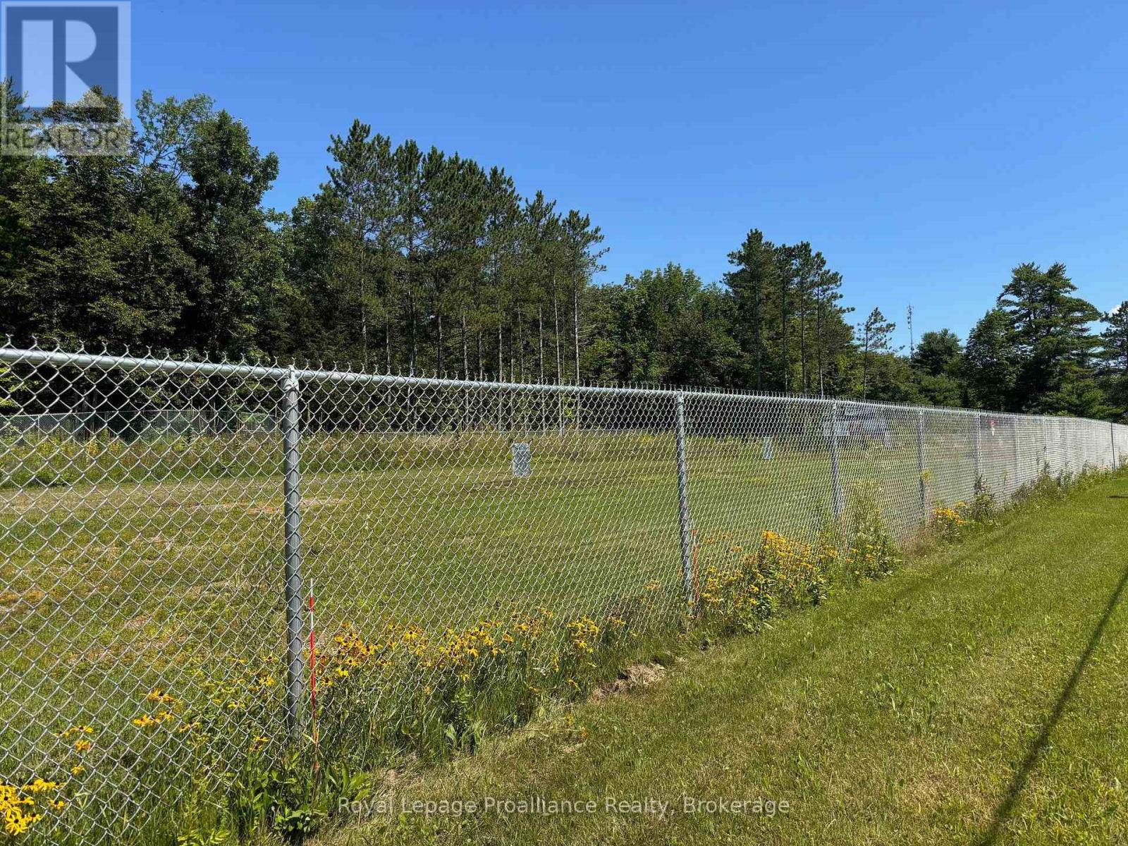 29200 Highway 7, Central Frontenac, Ontario  K0H 1B0 - Photo 4 - X13643332
