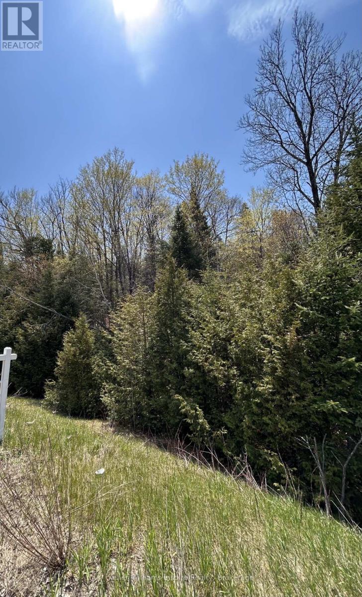 0 Highway 118, Faraday, Ontario  K0L 1C0 - Photo 17 - X13153456