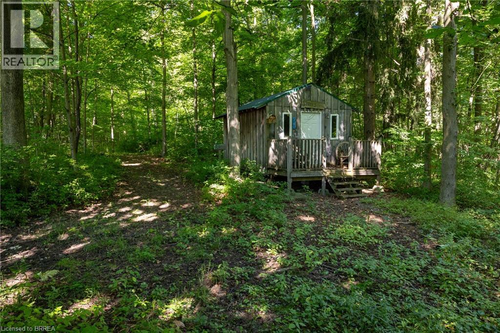 269 Brant County Road 22, Onondaga, Ontario  L9G 3L1 - Photo 21 - 40852618