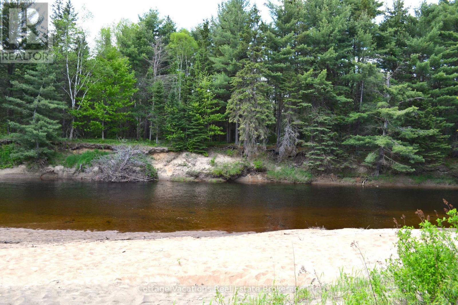 341 Old North Road, Huntsville, Ontario  P1H 2J4 - Photo 5 - X13643362