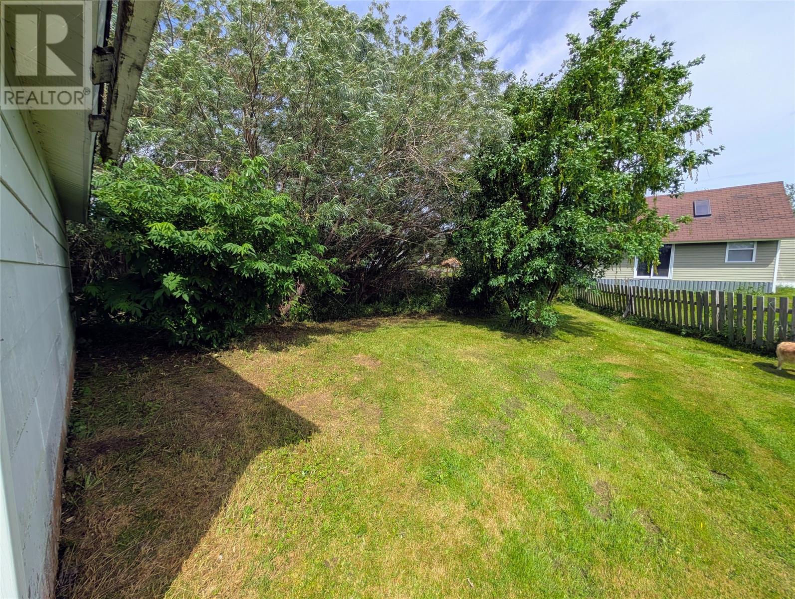 Photo 35