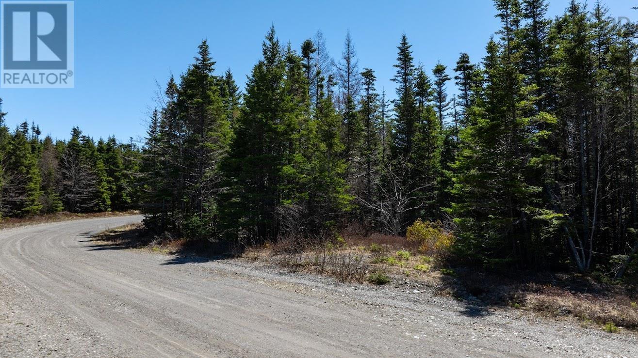 B0j 2r0 Dufferin Mines Road, Port Dufferin, Nova Scotia  B0J 2R0 - Photo 2 - 202609597