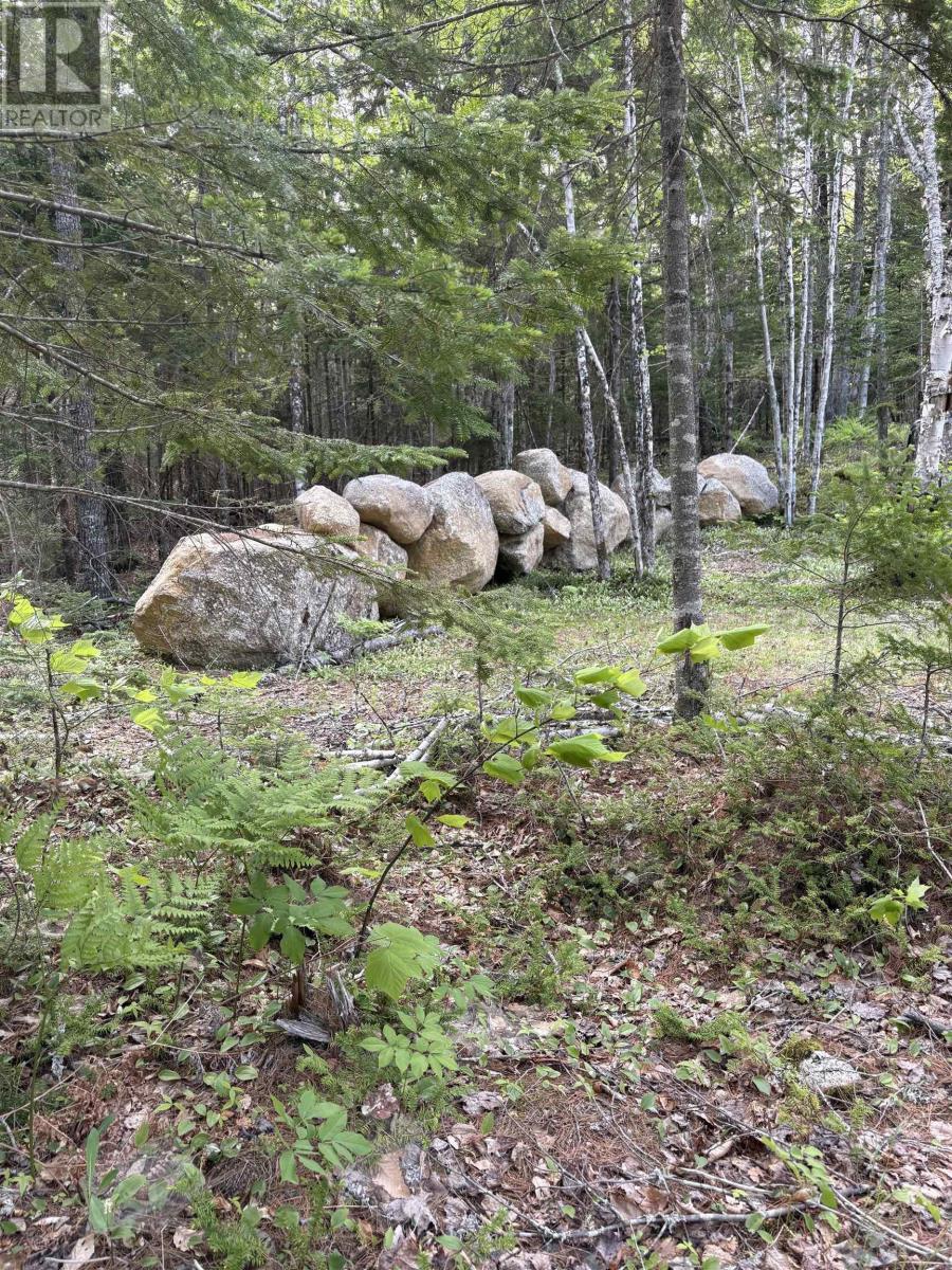 535 Grand Lake Road, Virginia East, Nova Scotia  B0S 0A6 - Photo 6 - 202613394