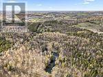 435 Bland Line, Cavan Monaghan, Ontario  L0A 1C0 - Photo 50 - X13643538
