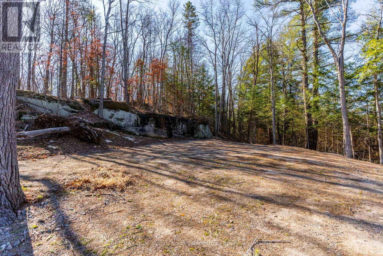 0 Boughner Road, Dysart Et Al, Ontario  K0M 1S0 - Photo 1 - X13643636
