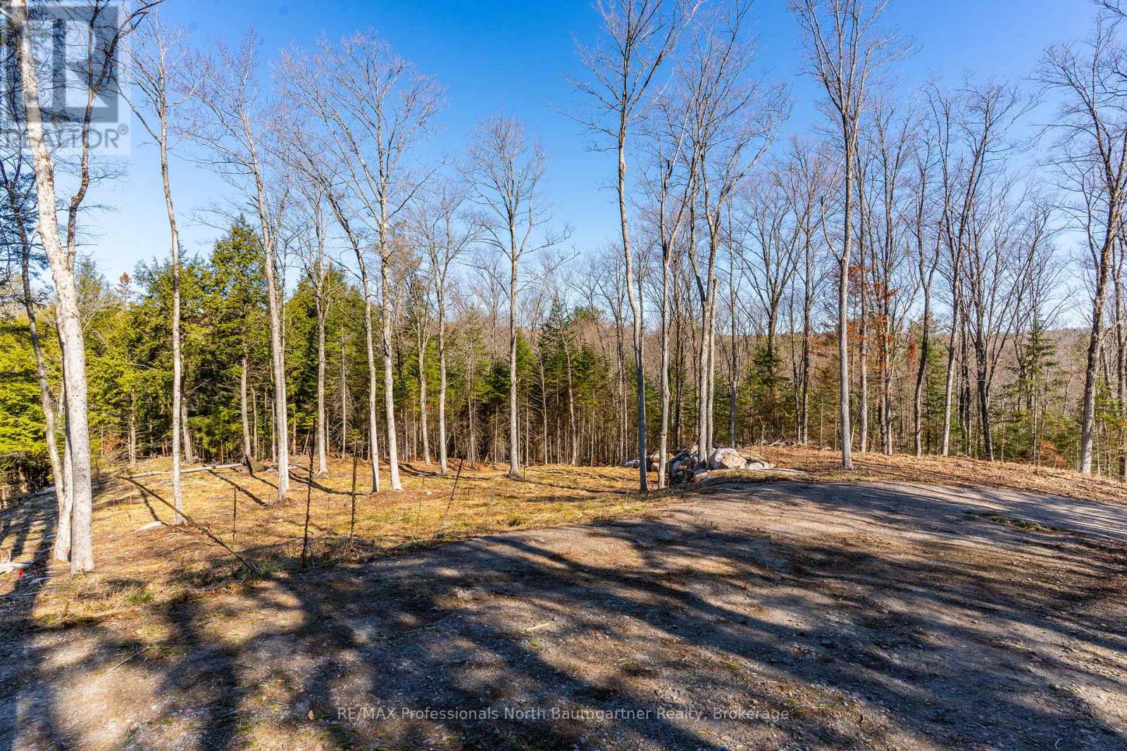 0 Boughner Road, Dysart Et Al, Ontario  K0M 1S0 - Photo 10 - X13643636