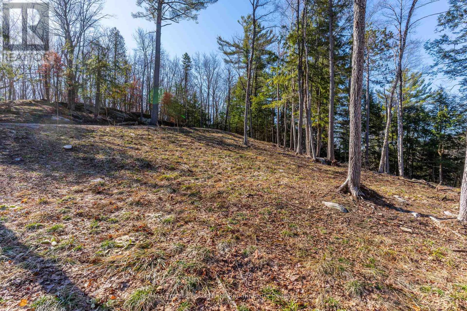 0 Boughner Road, Dysart Et Al, Ontario  K0M 1S0 - Photo 11 - X13643636