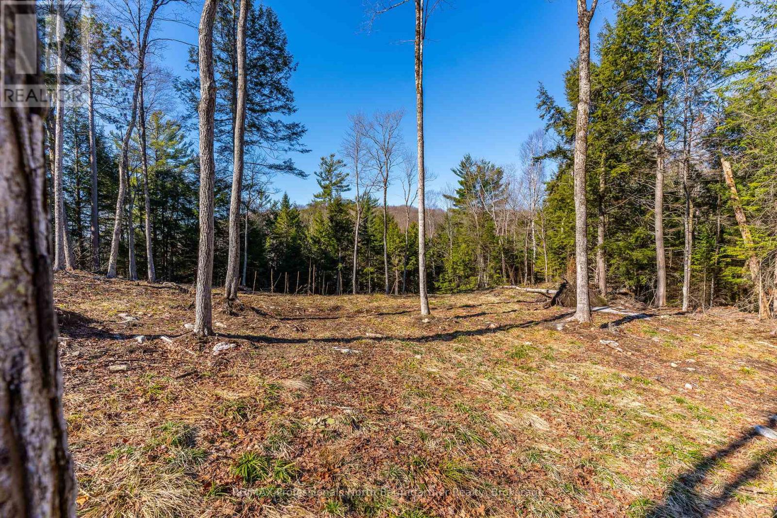 0 Boughner Road, Dysart Et Al, Ontario  K0M 1S0 - Photo 12 - X13643636