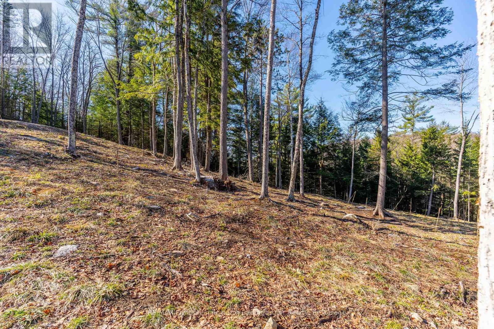 0 Boughner Road, Dysart Et Al, Ontario  K0M 1S0 - Photo 13 - X13643636
