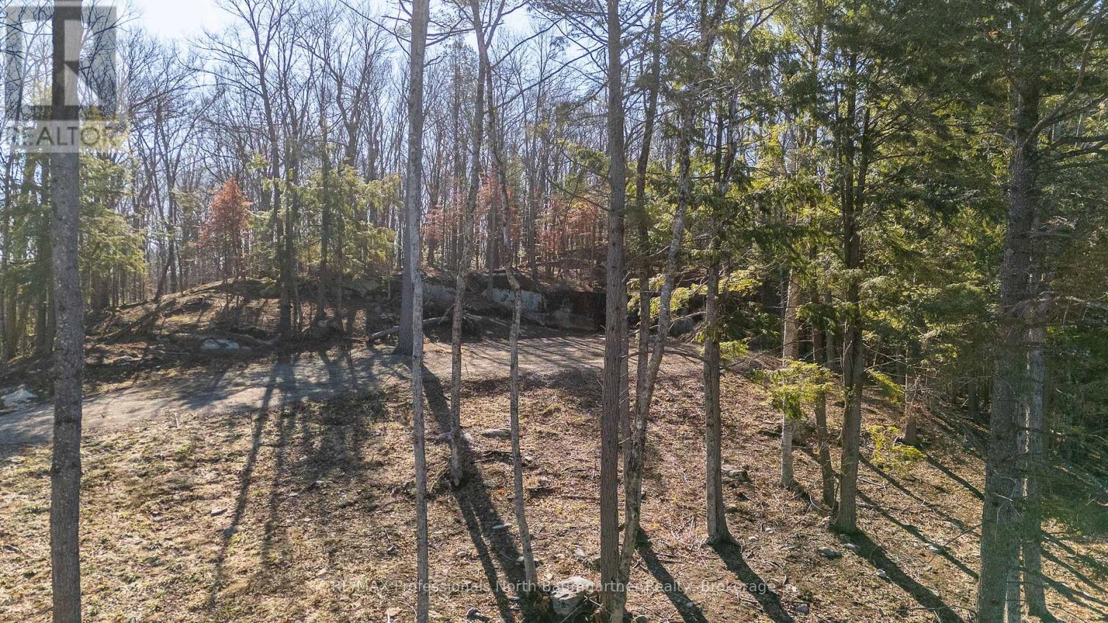 0 Boughner Road, Dysart Et Al, Ontario  K0M 1S0 - Photo 14 - X13643636