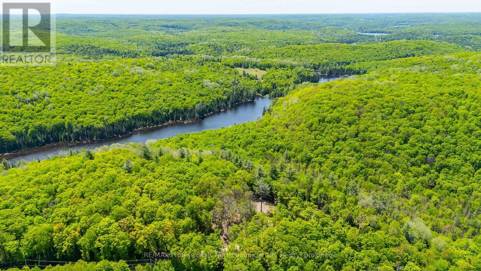 0 Boughner Road, Dysart Et Al, Ontario  K0M 1S0 - Photo 15 - X13643636