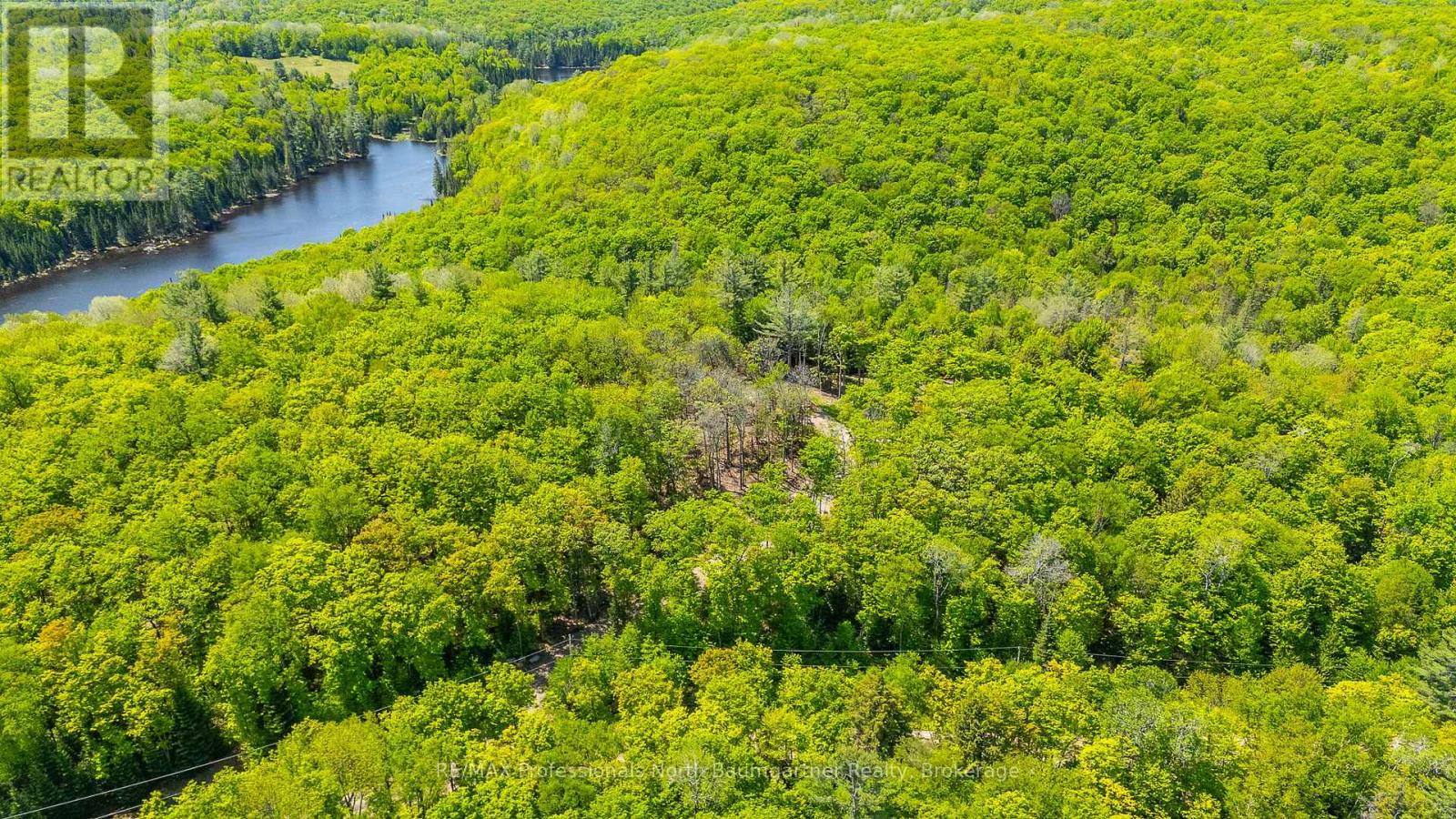 0 Boughner Road, Dysart Et Al, Ontario  K0M 1S0 - Photo 16 - X13643636