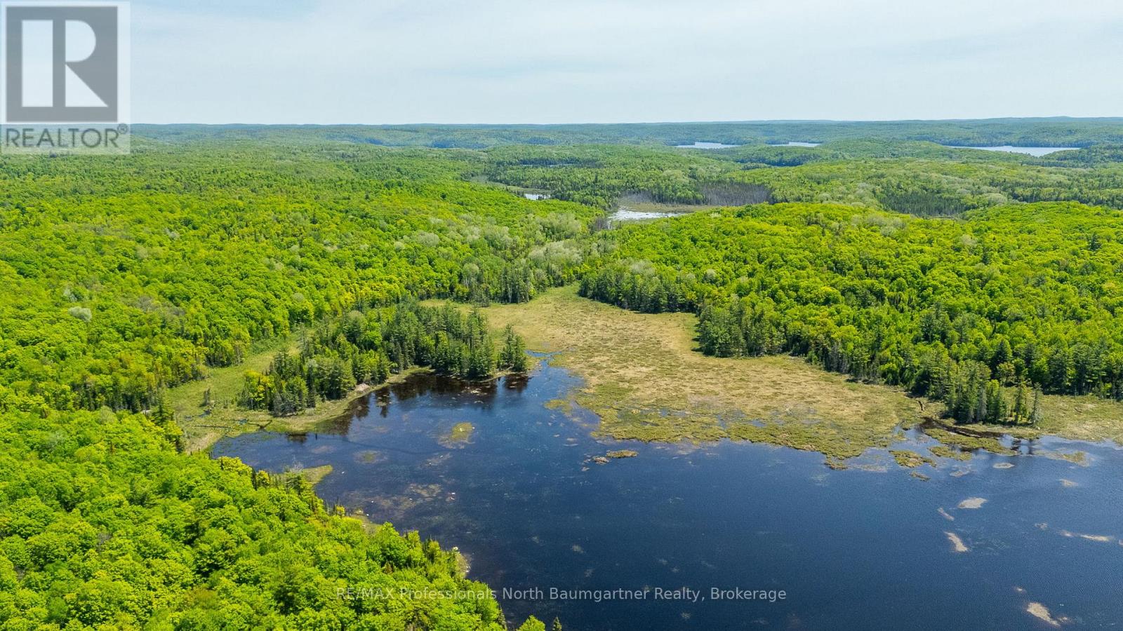 0 Boughner Road, Dysart Et Al, Ontario  K0M 1S0 - Photo 21 - X13643636