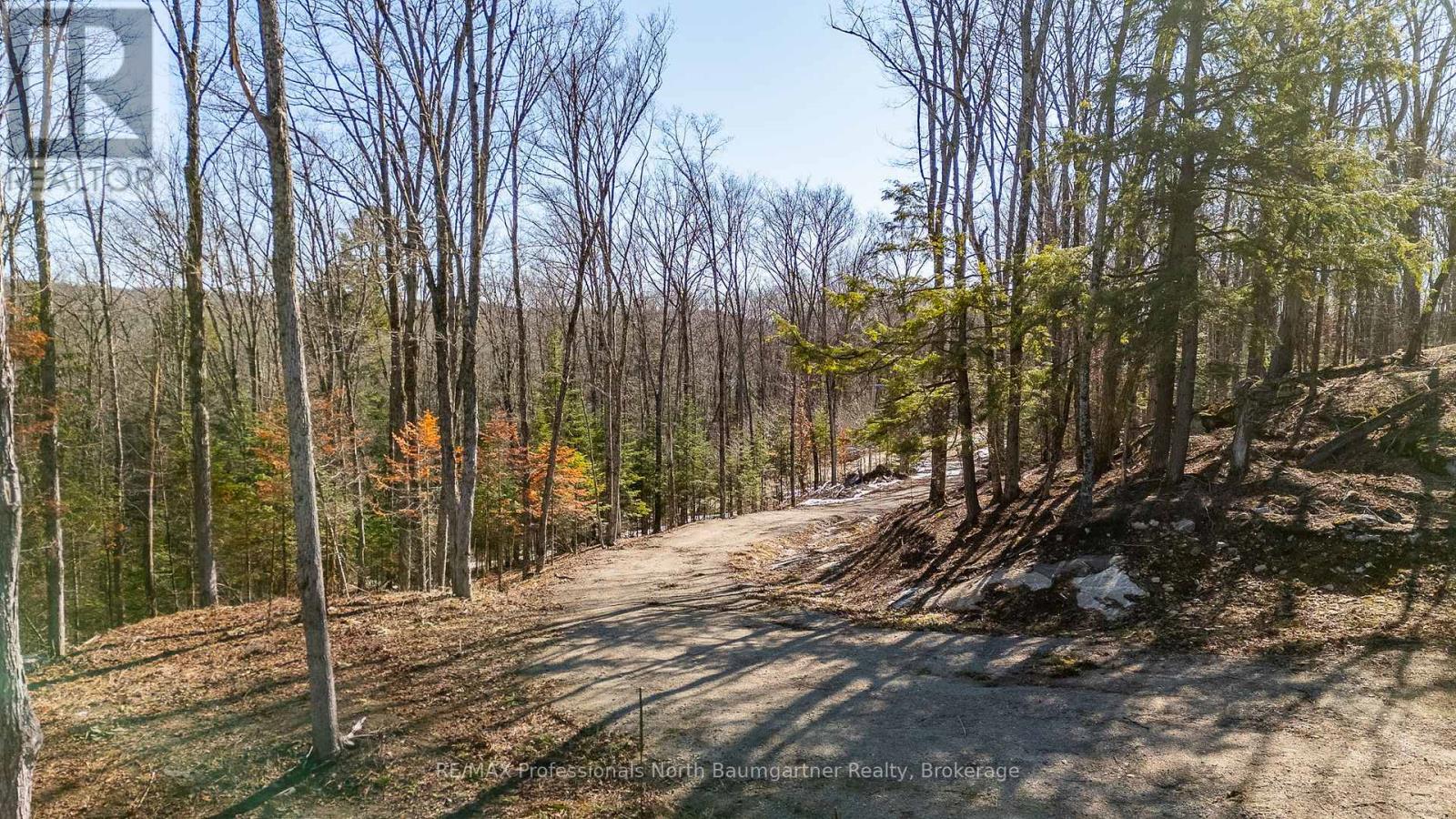 0 Boughner Road, Dysart Et Al, Ontario  K0M 1S0 - Photo 7 - X13643636