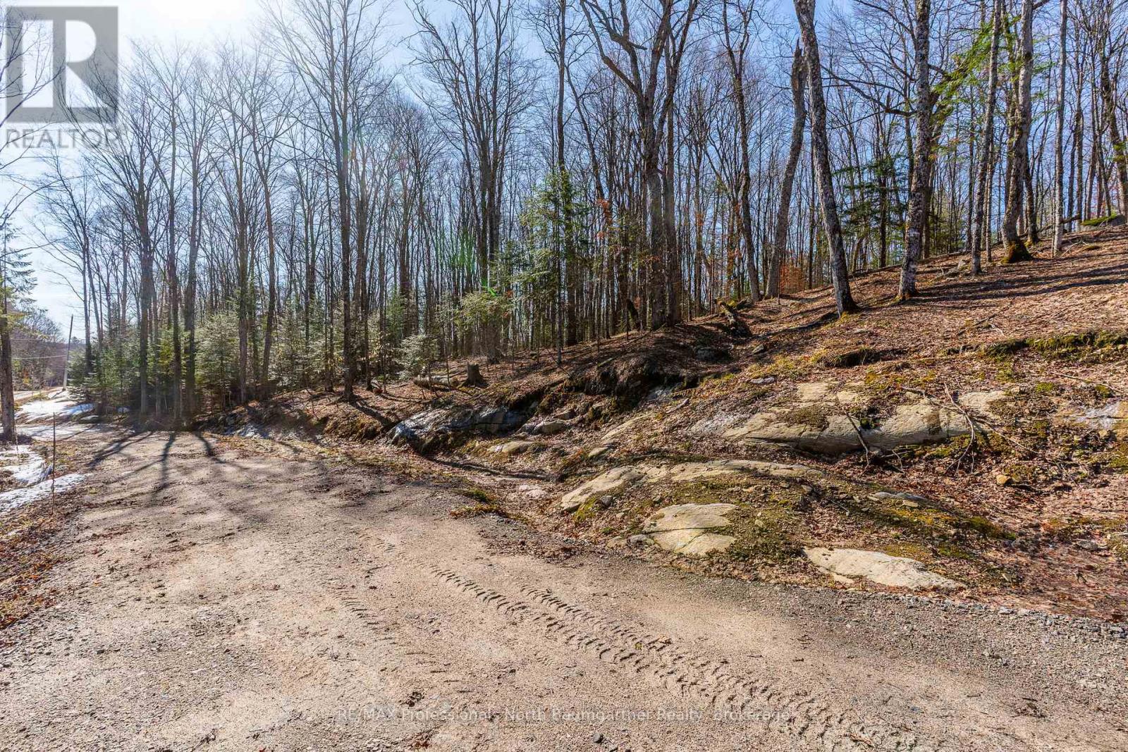 0 Boughner Road, Dysart Et Al, Ontario  K0M 1S0 - Photo 8 - X13643636