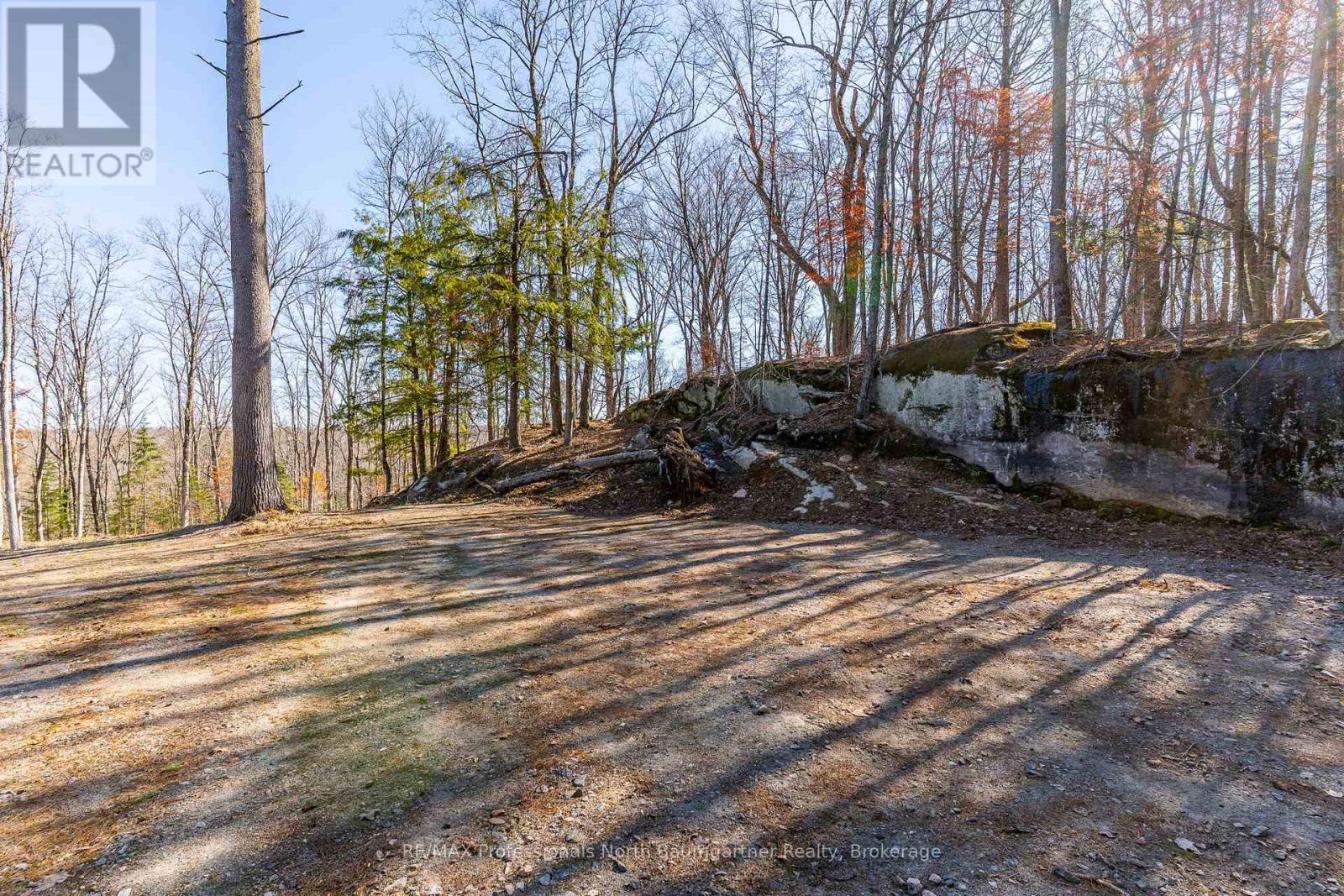 0 Boughner Road, Dysart Et Al, Ontario  K0M 1S0 - Photo 9 - X13643636