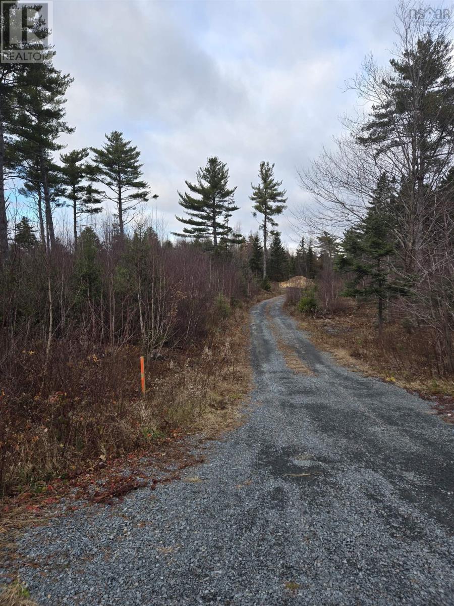 Lot P-1 Baker Road, Mount Pleasant, Nova Scotia  B0R 1G0 - Photo 3 - 202600752