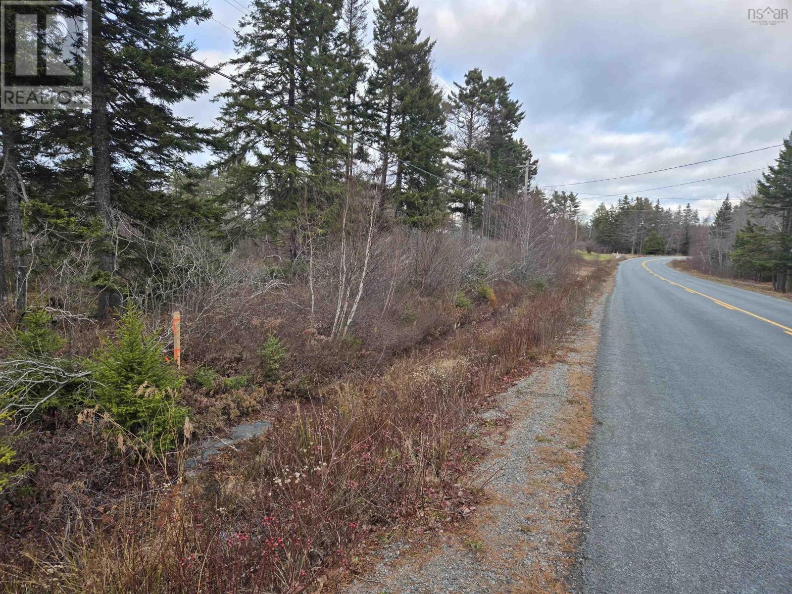 Lot P-2 Mount Pleasant Road, Mount Pleasant, Nova Scotia  B0R 1G0 - Photo 1 - 202600747