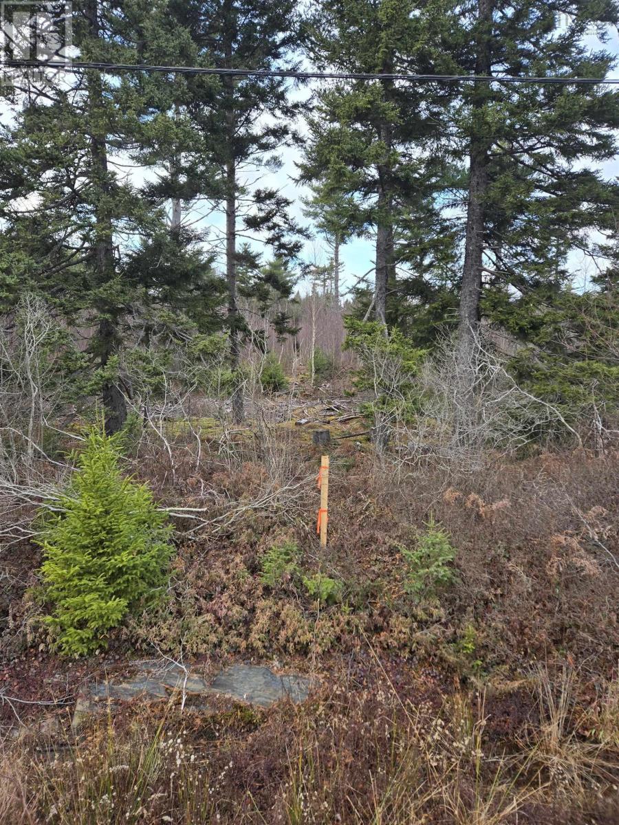 Lot P-2 Mount Pleasant Road, Mount Pleasant, Nova Scotia  B0R 1G0 - Photo 2 - 202600747